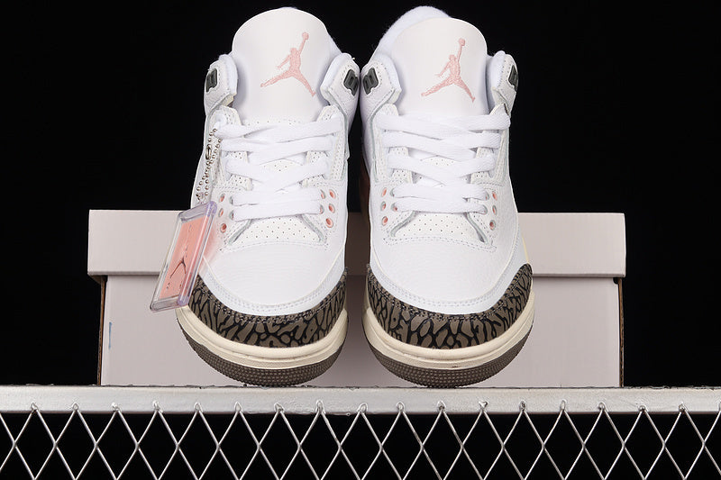 Air Jordan 3 Retro "Neapolitan"