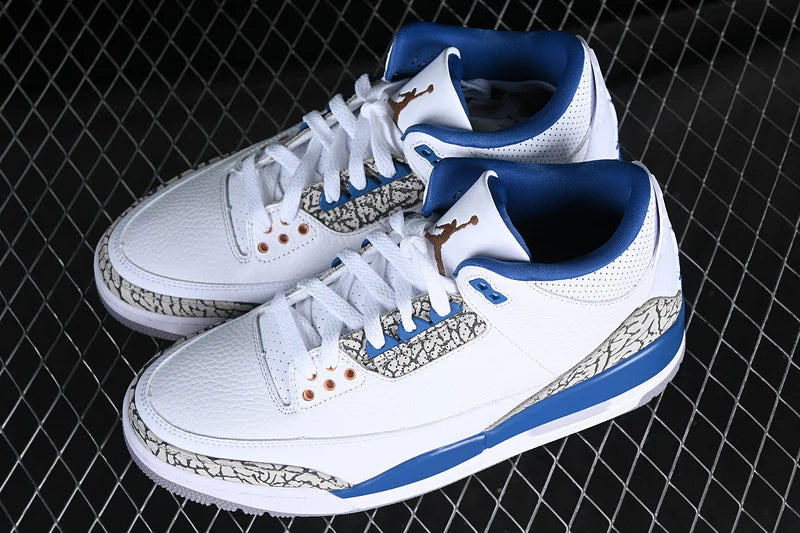 Air Jordan 3 Retro "Wizards"