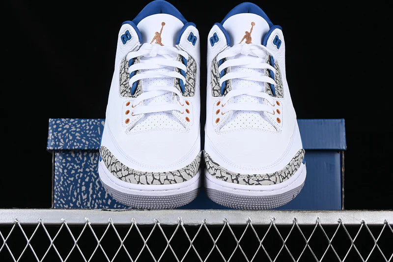Air Jordan 3 Retro "Wizards"