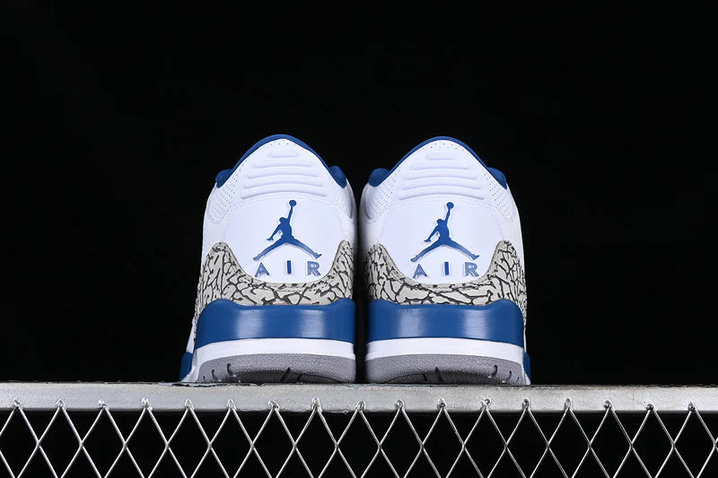 Air Jordan 3 Retro "Wizards"